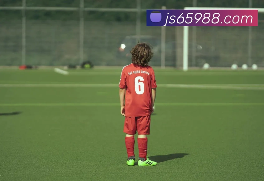 多媒体互动体验